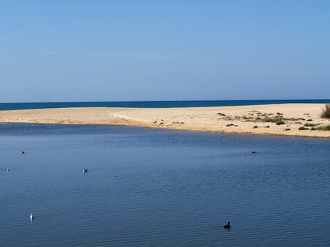 Lagoa dos Salgados, a biotope between Armacaou de Pera and Albufeira at the Algarve coast of Portugal