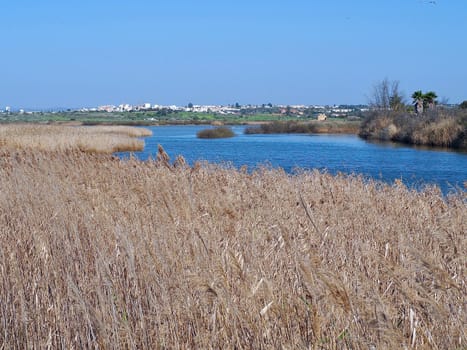 Lagoa dos Salgados, a biotope between Armacaou de Pera and Albufeira at the Algarve coast of Portugal