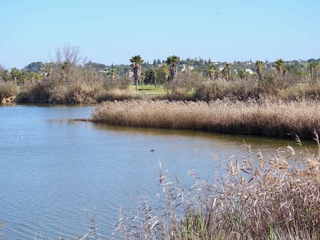 Lagoa dos Salgados, a biotope between Armacaou de Pera and Albufeira at the Algarve coast of Portugal