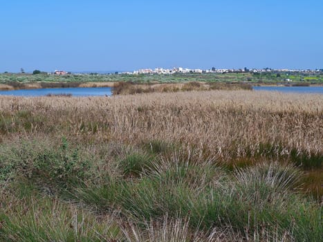 Lagoa dos Salgados, a biotope between Armacaou de Pera and Albufeira at the Algarve coast of Portugal