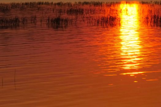 Orange is canaled over the water surface of the lake. Grass in the lake and the reflection of the sunset.