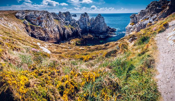 Panorama of Pointe du Pen-Hir on the Crozon peninsula, Flowering Heather (Calluna vulgaris), Finistere department, Camaret-sur-Mer, Parc naturel regional d'Armorique. Brittany (Bretagne), France.