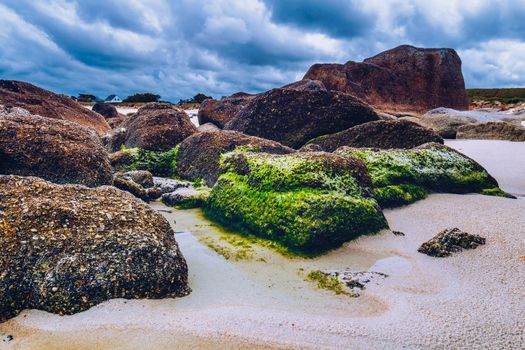 Moss stone and coastline in Brittany (Bretagne), France