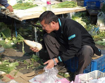 KAOHSIUNG, TAIWAN - FEBRUARY 9: An unidentified shopper carefully chooses white giant radishes at an outdoor market on February 9, 2013 in Kaohsiung.
