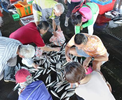 KAOHSIUNG, TAIWAN -- JULY 8, 2018: Buyers choose fresh fish at the Sinda Fishing Port.