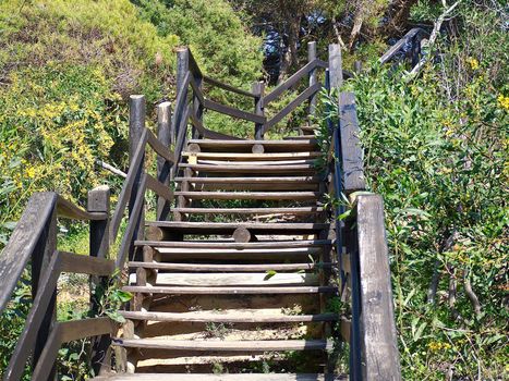 Wooden stair, footpath into the wild Algarve nature in Portugal