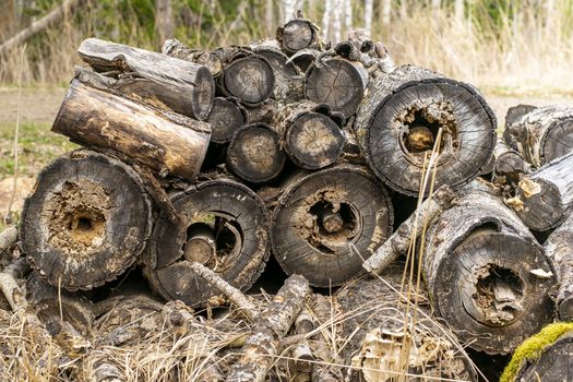 a pile of fallen old rotten large logs against the background of the forest