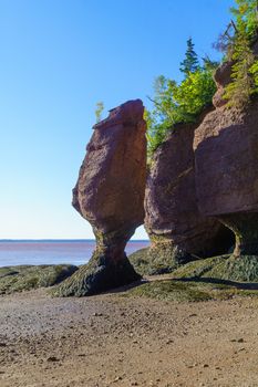 View of Hopewell Rocks at low tide. New Brunswick, Canada