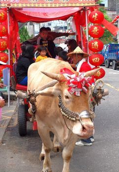 KAOHSIUNG, TAIWAN -- OCTOBER 13: A traditional Taiwanese ox cart is a special attraction at the yearly Wannian Folklore Festival on October 13, 2013 in Kaohsiung.