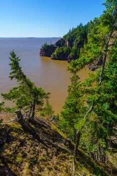 View of Hopewell Rocks at high tide. New Brunswick, Canada