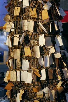 KAOHSIUNG, TAIWAN -- FEBRUARY 13, 2016: A wishing tree where people can put up pieces of paper on which they write their hopes, desires and prayers.