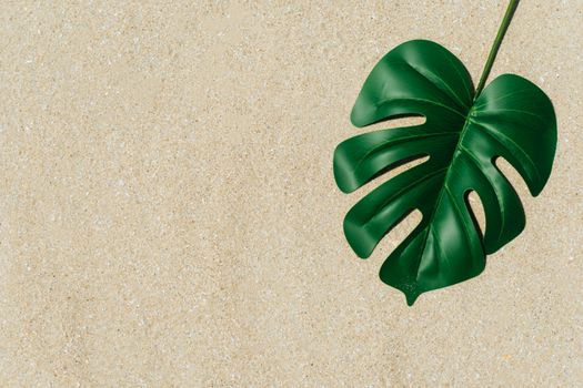 Tropical monstera leaf on sand texture background summer beach concept.