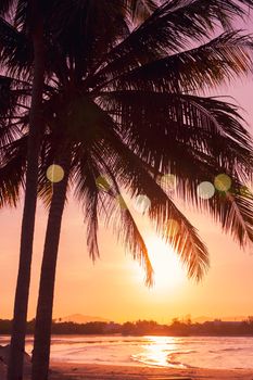 Tropical nature clean beach and white sand in summer with palm tree leaf sun light blue sky and bokeh abstract  background.