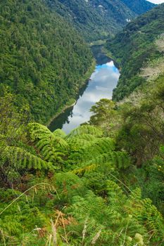 View of the Whanganui River, North Island, New Zealand