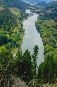 Whanganui River, North Island, New Zealand