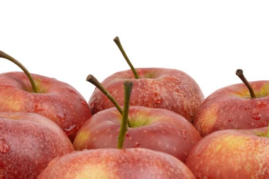 Apple fruit on white background. Selective focus