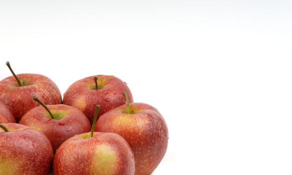 Apple fruit on white background. Selective focus