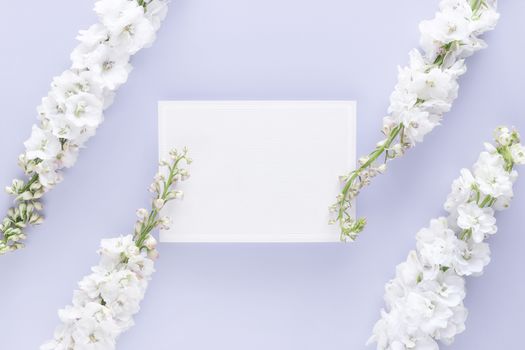 flat lay of luxury blank greeting card decorate with white flower isolated on pastel color background
