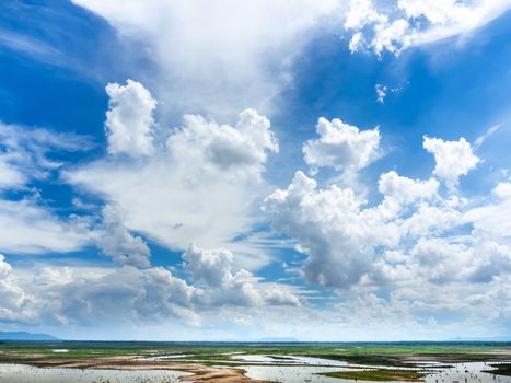 Beautiful cloud and blue sky with landscape of swamp background. Panoramic view of the countryside in Thailand.