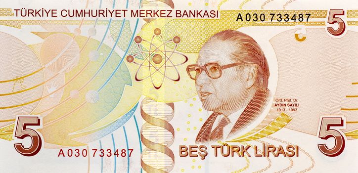 5 Lira banknote back
