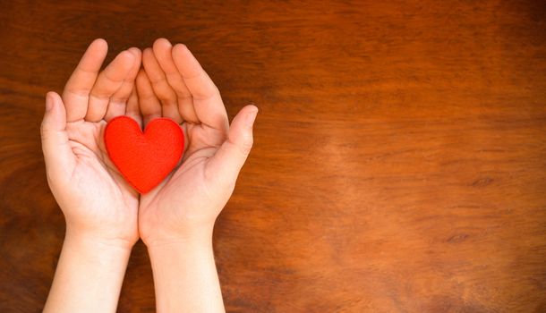hands holding heart give love philanthropy donate help warmth take care valentines day / health care love organ donation family insurance world health day hope gratitude covid-19 coronavirus relief 