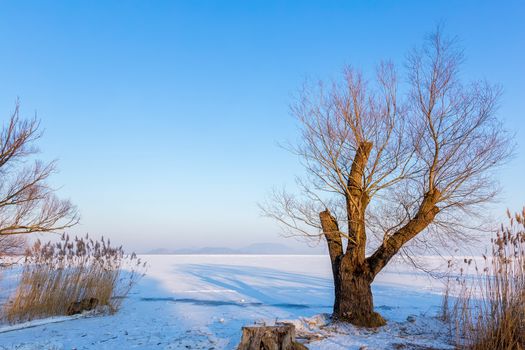 Beautiful winter landscape from lake Balaton of Hungary