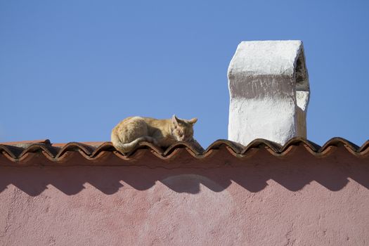 A red-haired cat sleeps in the sun on the tiles of a roof of a typical Mediterranean house with a traditional shaped chimney