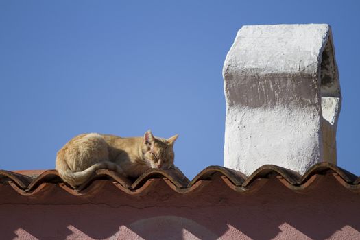 A red-haired cat sleeps in the sun on the tiles of a roof of a typical Mediterranean house with a traditional shaped chimney