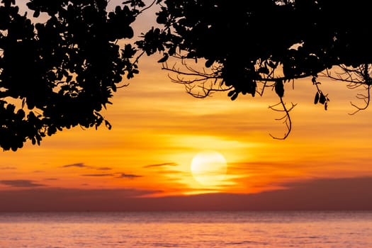 Summer sunset sky at tropical beach. View from under the tree. Silhouette tree and orange sunset sky. Skyline and seawater. Scenic view of big sun and golden sunset sky. Summer vacation travel.