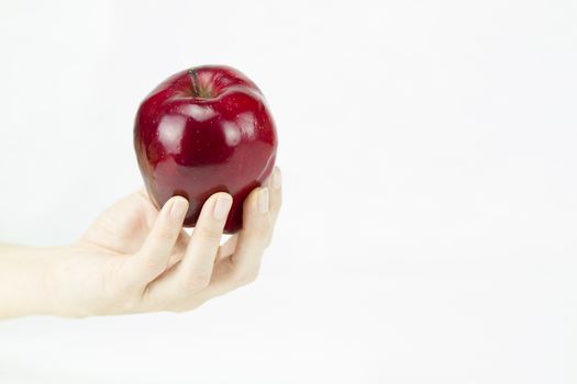 Hand of a young woman holding a red apple like the one offered by the witch to Snow White on white background