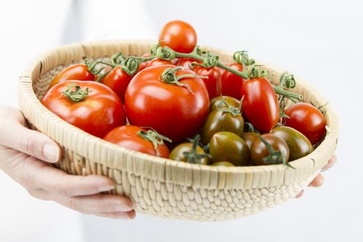 Closeup of a basket full of ripe tomatoes of various breeds held by a young woman