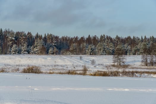 Winter landscape, snowy field and forest in the distance