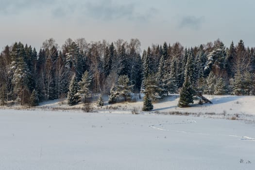 Winter landscape, snowy field and forest in the distance