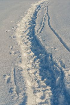 Path in a snowy field, rural winter landscape