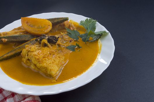 Spicy and tasty fish curry dish, Traditional Malaysian cuisine. Selective focus.