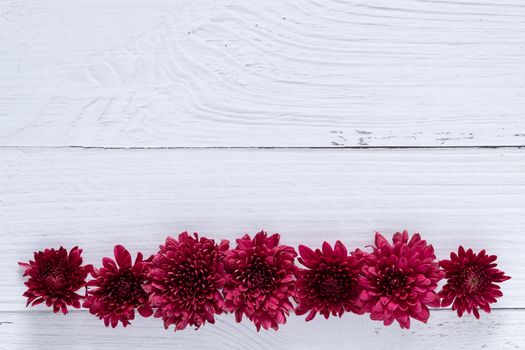 fresh red flowers over white wooden table background. backdrop with copy space