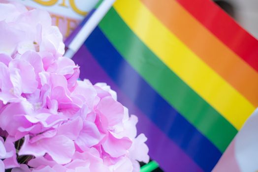 LGBT pride month background. gay rainbow flag waving at LGBT gay pride parade festival with violet flower at foreground