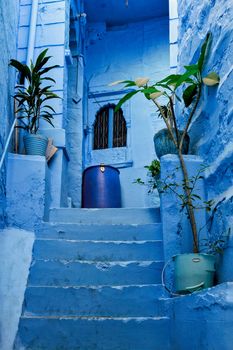 Blue houses in streets of of Jodhpur, also known as Blue City due to the vivid blue-painted Brahmin houses, Jodhpur, Rajasthan, India