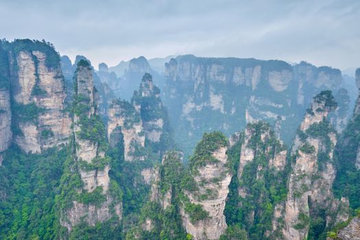 Famous tourist attraction of China - Zhangjiajie stone pillars cliff mountains in fog clouds at Wulingyuan, Hunan, China