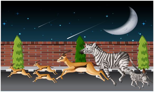 several animals are running on road in night