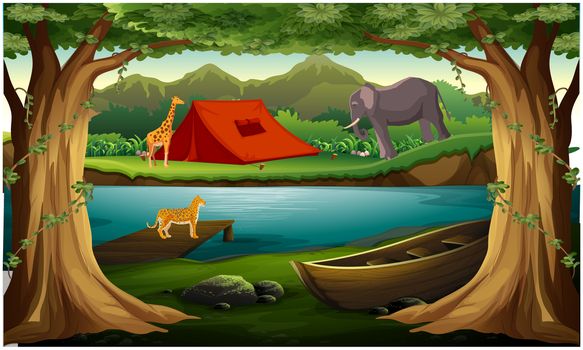 animals are living near the river in the forest