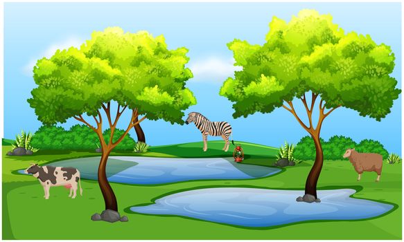animals are crossing the forest after drinking water