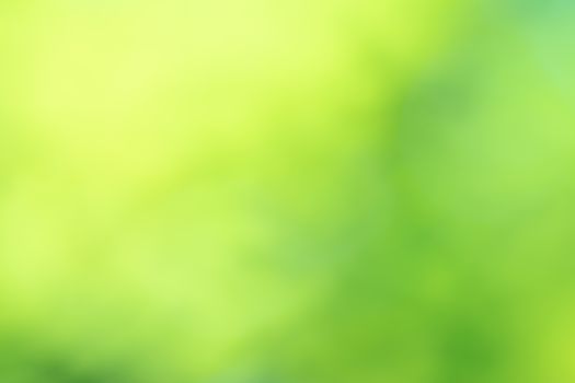 Green blurred background abstract light gradient bokeh natural  Used for text input
