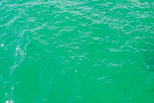 The image of the sea is bright green and blue.