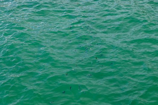 The image of the sea is bright green and blue.