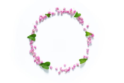 flat lay of Flower crown ,floral wreath circle made from pink flowers isolated on white background, top view. flower creative composition with copy space