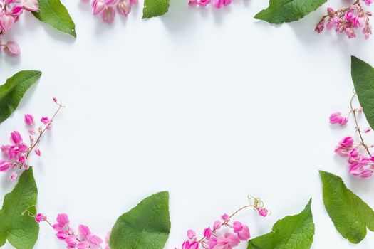 pink flowers frame with green leave on white background with copy space for greeting message. flat lay, top view, copy space