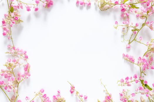 square border frame with pink flower , branches and leaves isolated on white background with copy space. flat lay, top view
