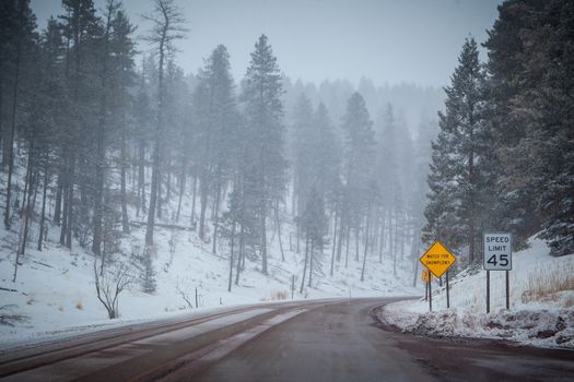 A snowy mountain road with warning signs in Cloudcroft, New Mexico, USA