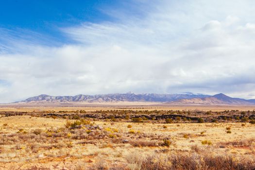 Sparse desert like landscape in New Mexico, USA